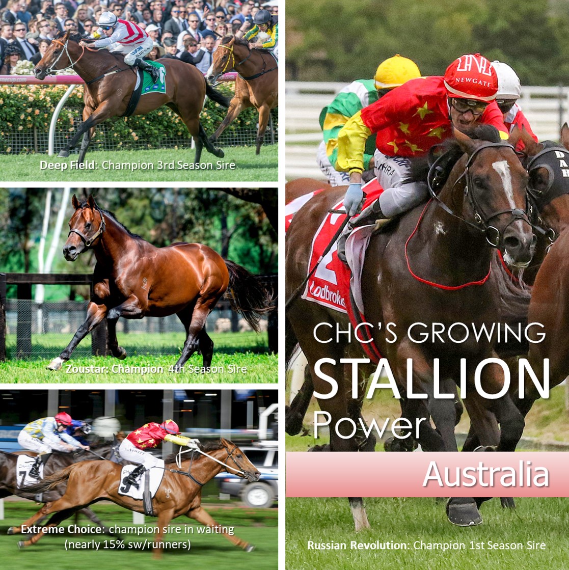 Stallion Power Aus