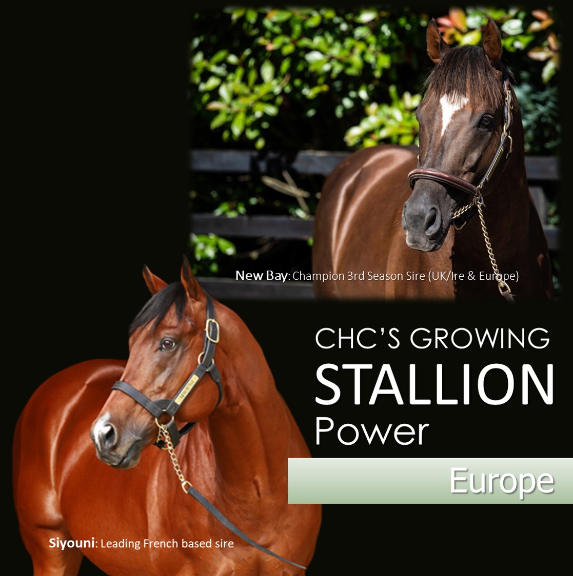 Stallion Power Europe
