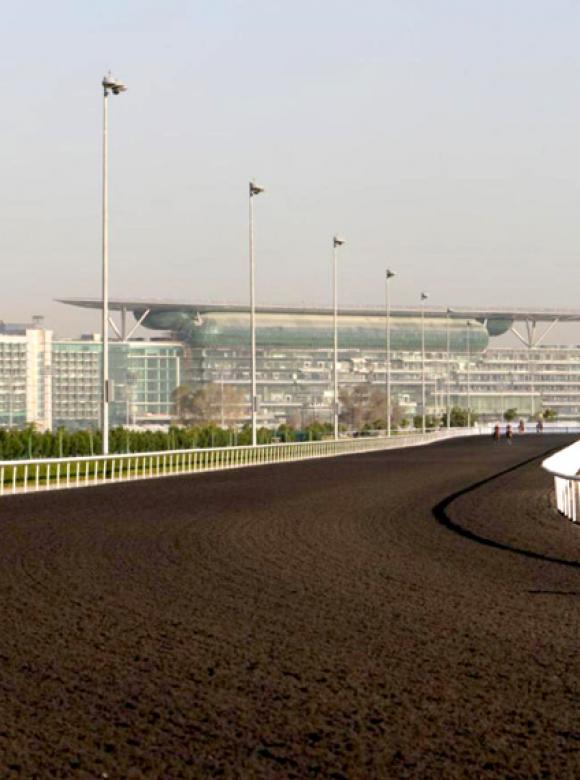 Meydan Training Tracks